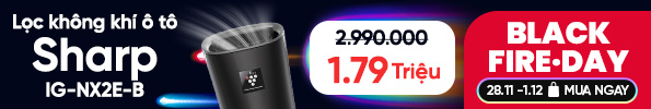 Máy lọc không khí ô tô Sharp IG-NX2E-B